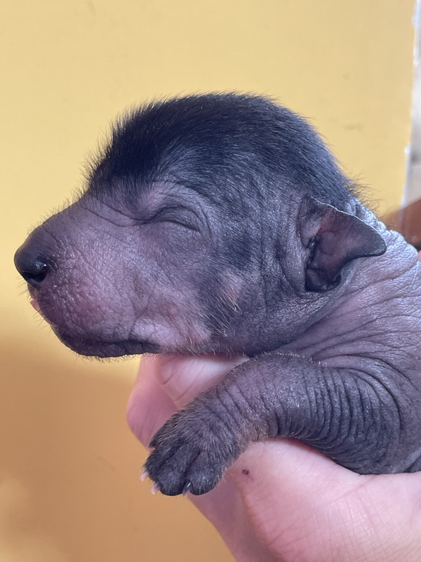 D644C5A4-D187-4788-99EE-CDEBA78562C3