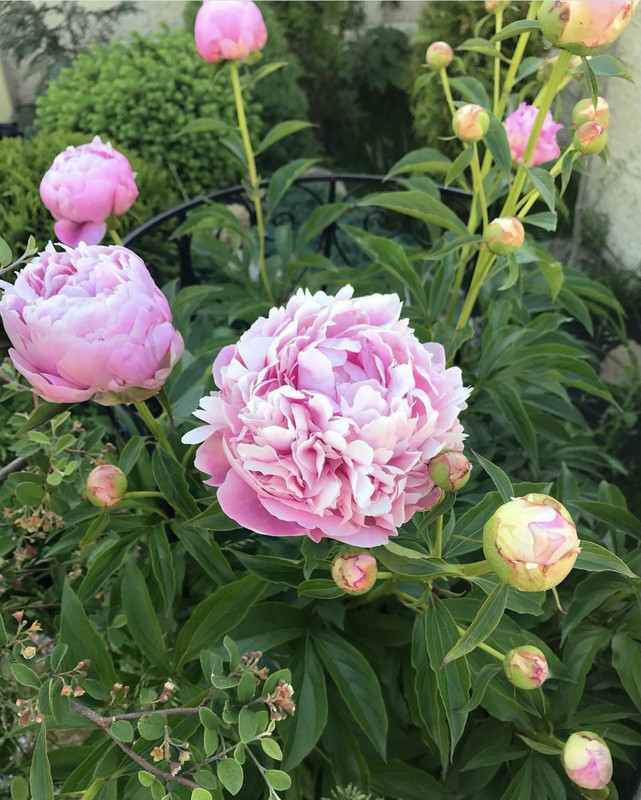 758FBE49-C920-4A1A-92C1-C3426CE42A20