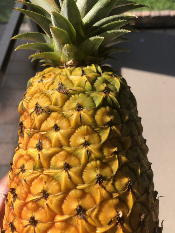 91060131-30B2-4352-A29B-BB9275E79A9B