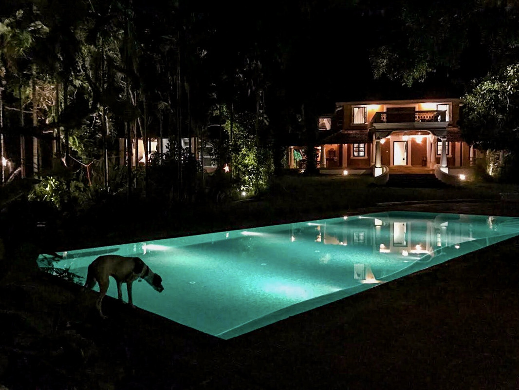 0AD799DC-C821-487F-99BB-DD7118B1BE0C