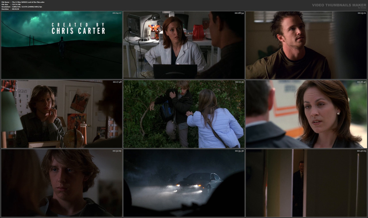 The X-Files S09E05 Lord of the Flies.mkv