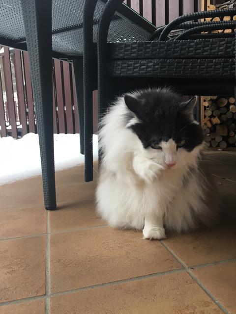 8-A3-F838-C-C305-4641-AADF-B939-E79-C4-B