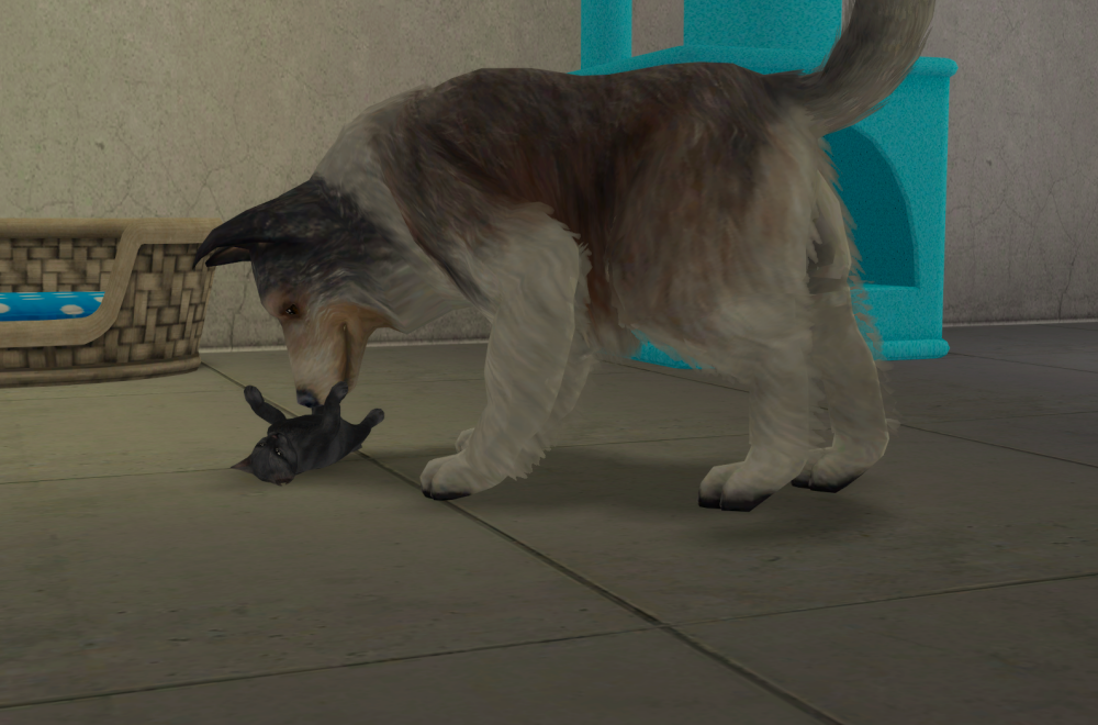 Sims2-EP9-RPC-2021-06-26-09-28-39-04