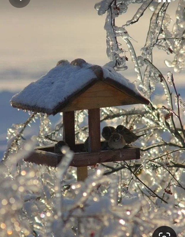 Screenshot_20231017_192208_Pinterest