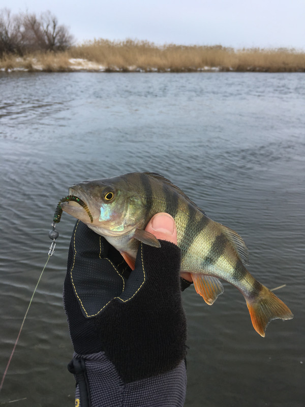 8F17DFE2-0DF7-415A-8365-E20D18FD60E8