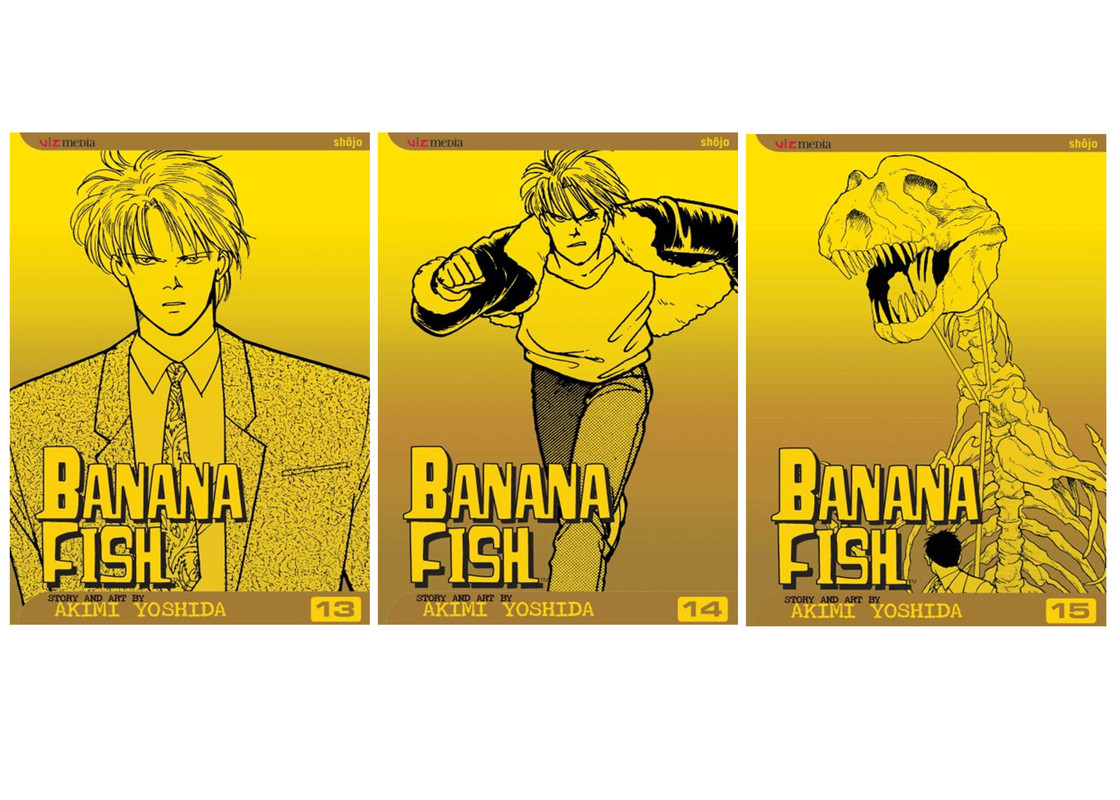 Banana Fish Manga Volume 15