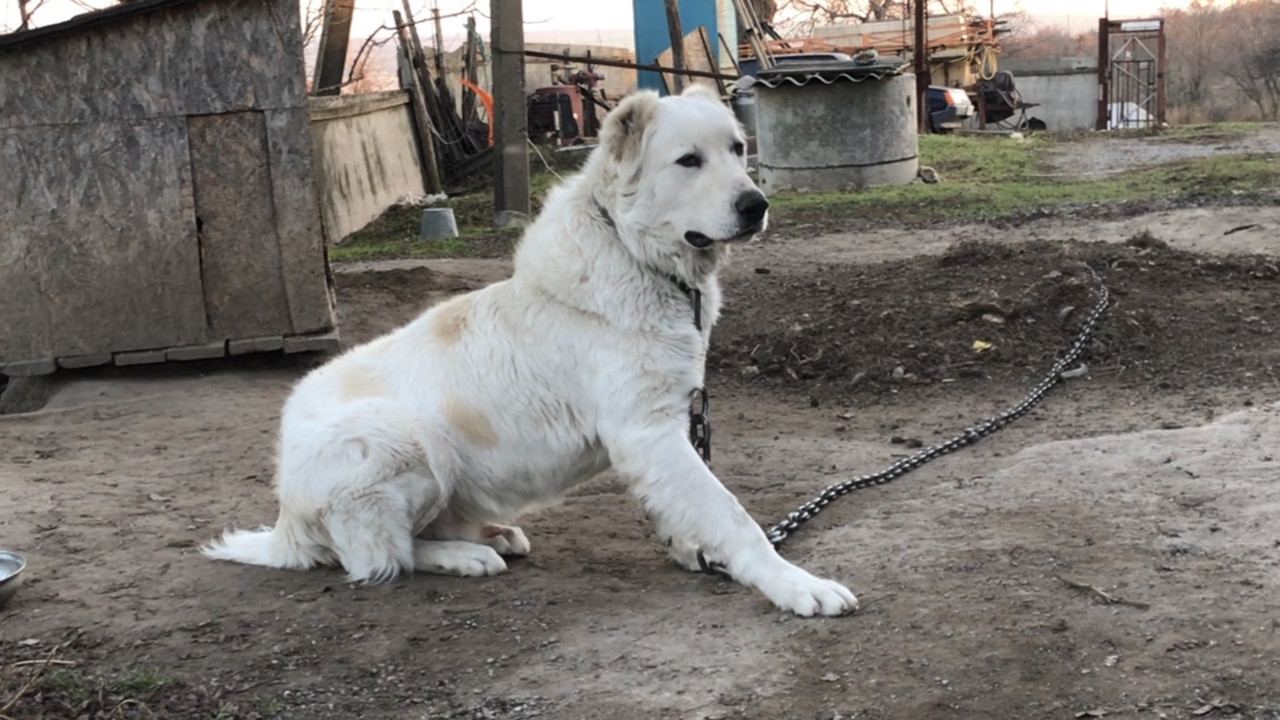 A216928A-FDFA-4448-BF77-25131634A120