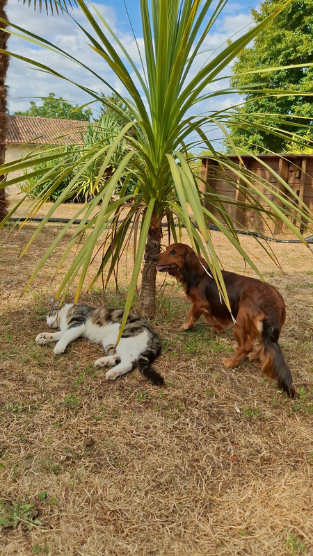 [Image: 1000023257.jpg]