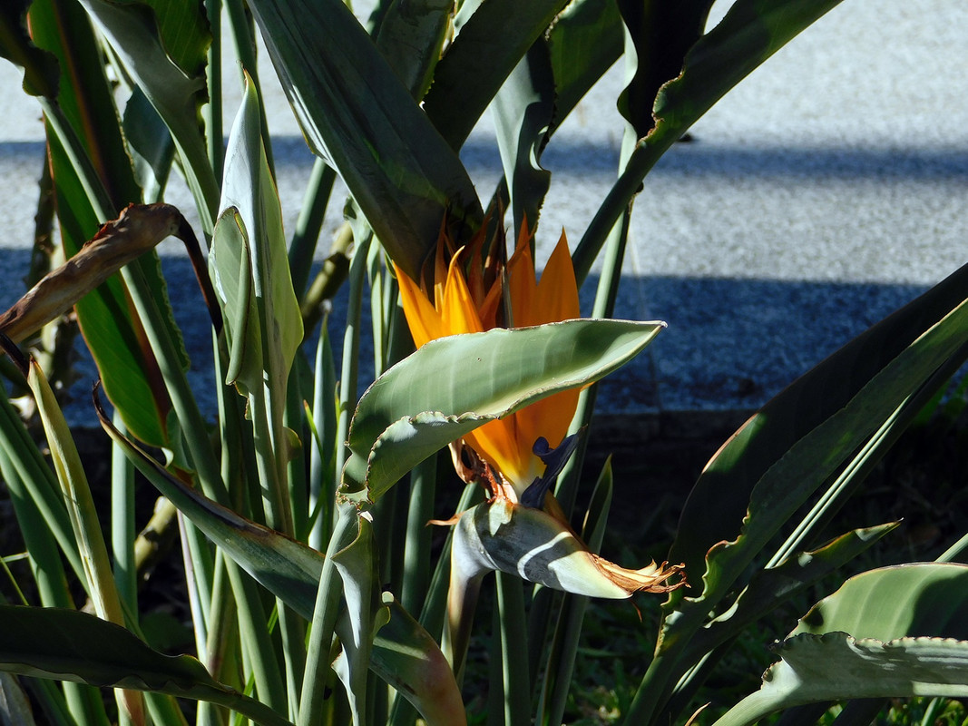 DSCN0351.jpg