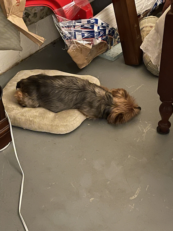 849D9F99-677C-4489-B08E-126A795FDB26