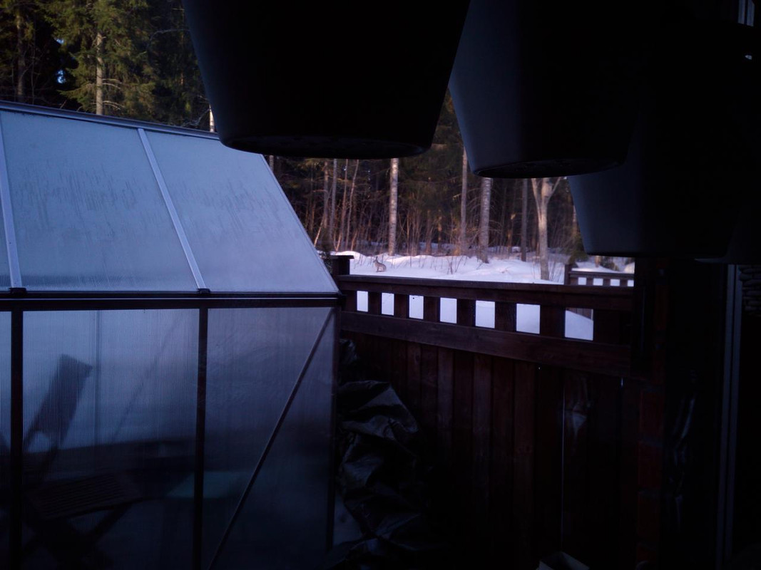 IMG_20180415_070359[1]