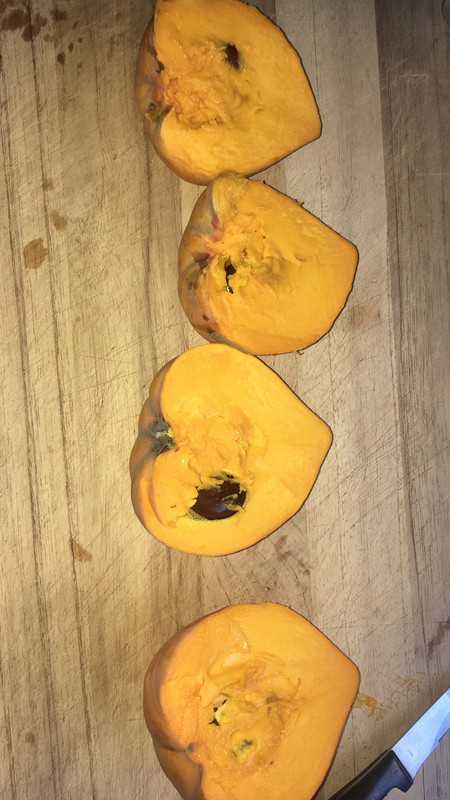 93BD2723-A348-4E63-959A-14CB398A715F