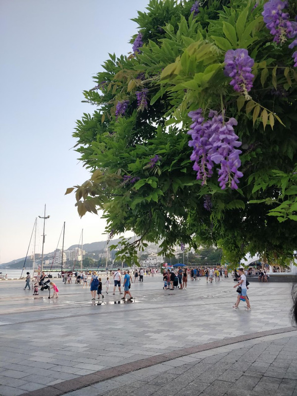 IMG_20230409_132008_603