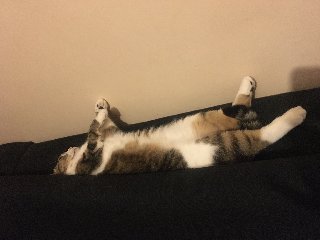 121-C3741-7-C06-48-F6-BC39-AA09-B5-B27-E