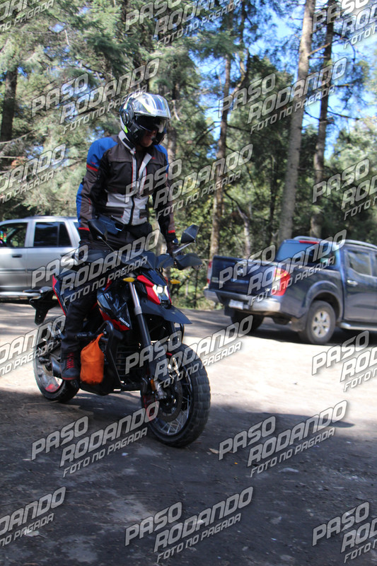 IMG 2500 wm 2109251 3 watermarked — Postimages