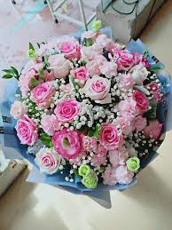 [Image: Download.jpg]