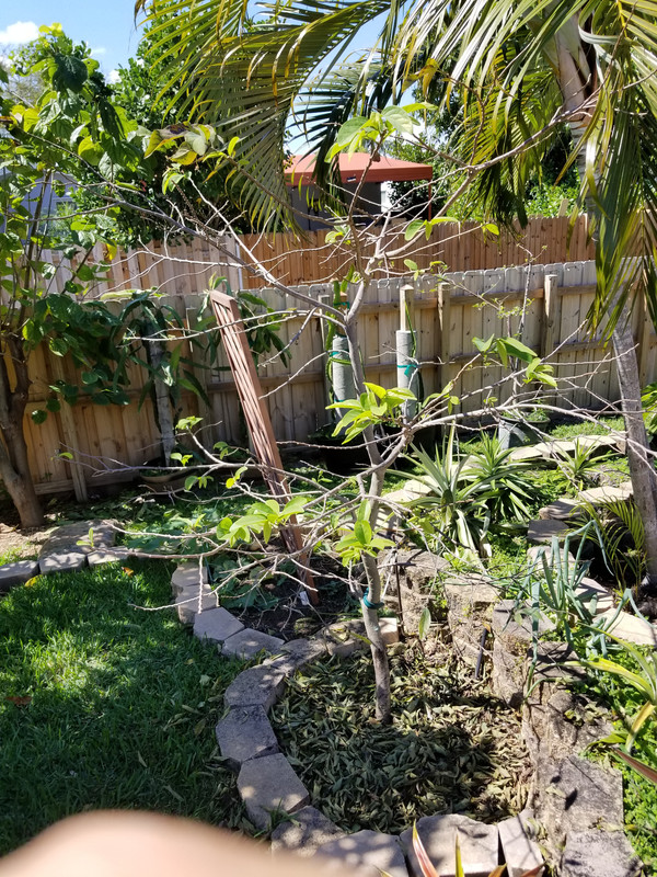 20190302_131401