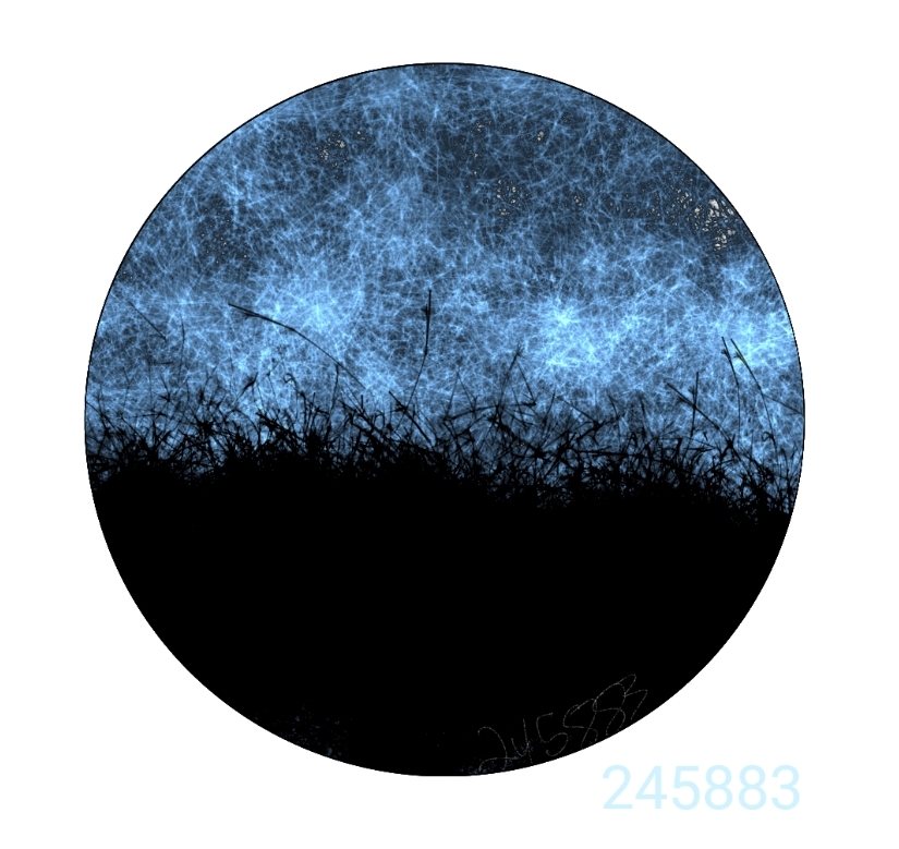 245883.jpg