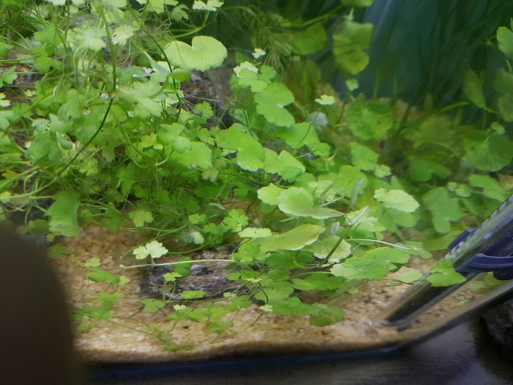 WhatsApp Image 2016-09-28 at 16.06.35 (5)