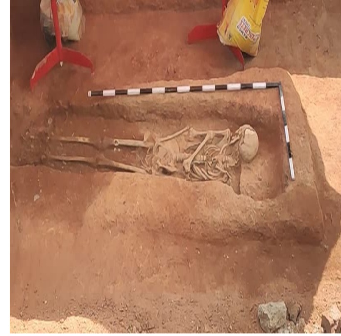 Screenshot-2020-08-14-08-47-06-655-org-m