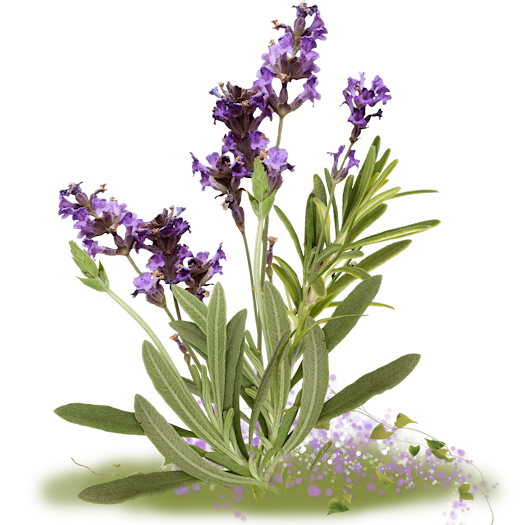 ISmellAutumn-LL-Element58