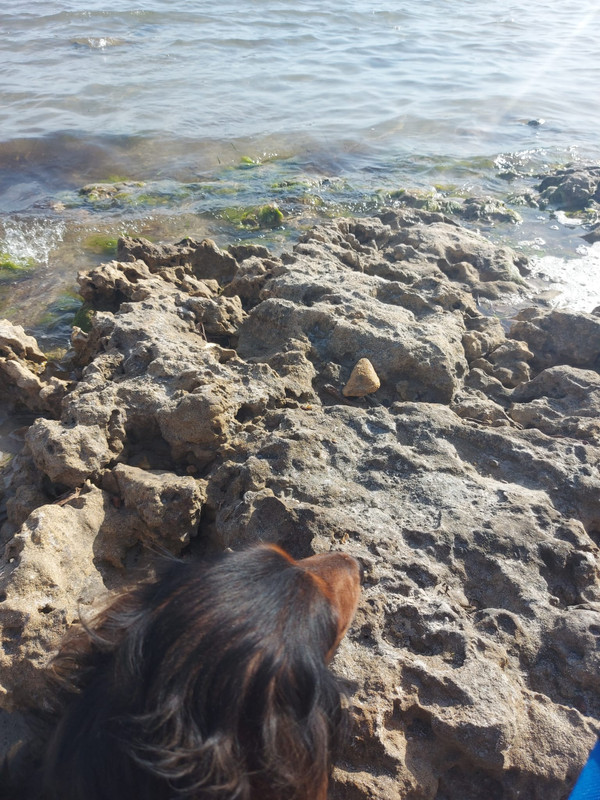 [Image: IMG-20210704-WA0000.jpg]