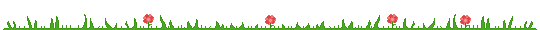 GIF animado