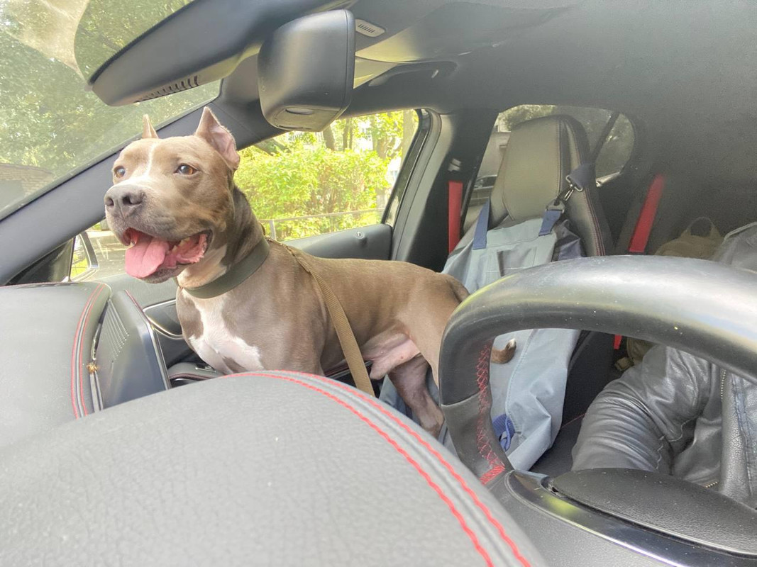 CBD1ABD0-40A5-403C-AD12-F06DB11A0A9C