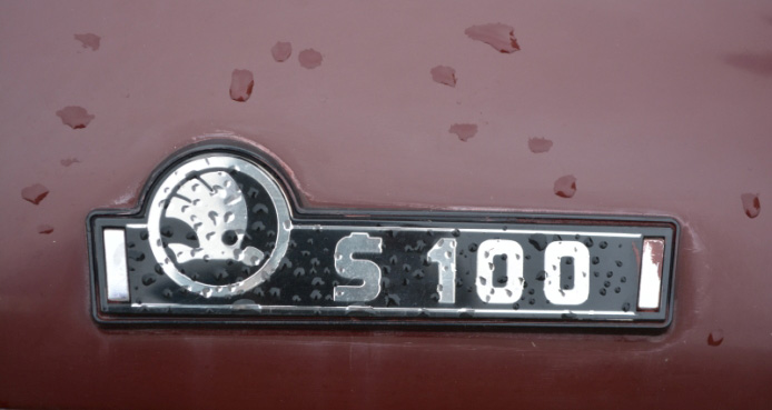 logo 100 1