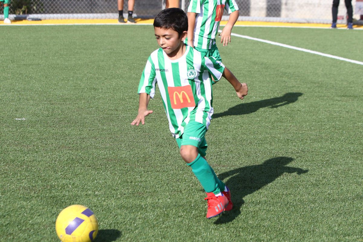 VIK_0338