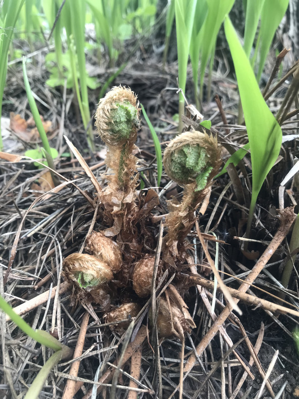 B212F736-8F8B-4117-9777-C71C2A49FC48