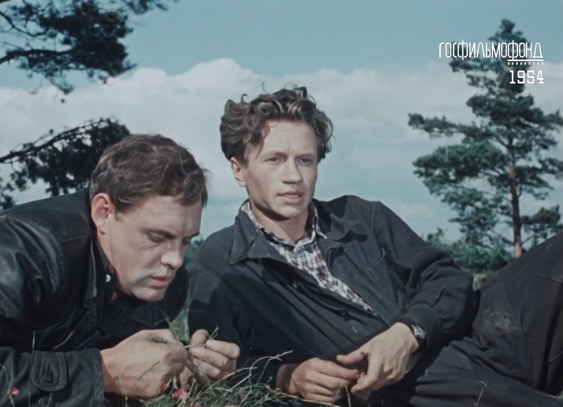 Новый файл (1)004790