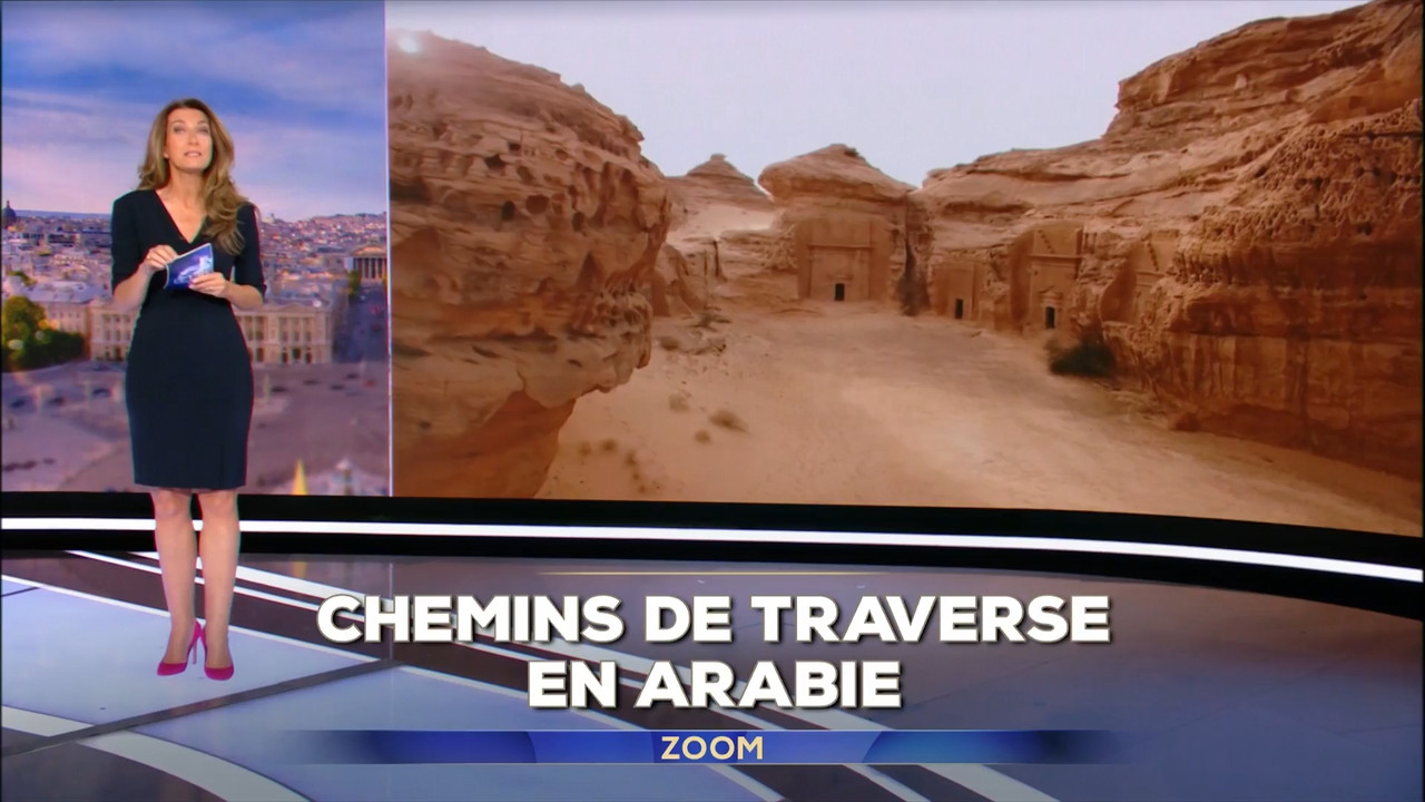 2022-11-20_13_00_TF1_Le-13h.mp4_snapshot_04.52.826