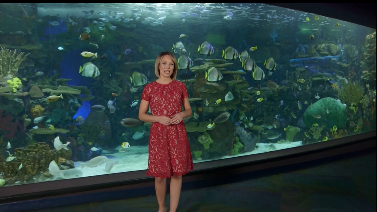 11.07 - 15.00.00 - Earth Odyssey With Dylan Dreyer. The world's smart....ts_snapshot_01.05.22.169