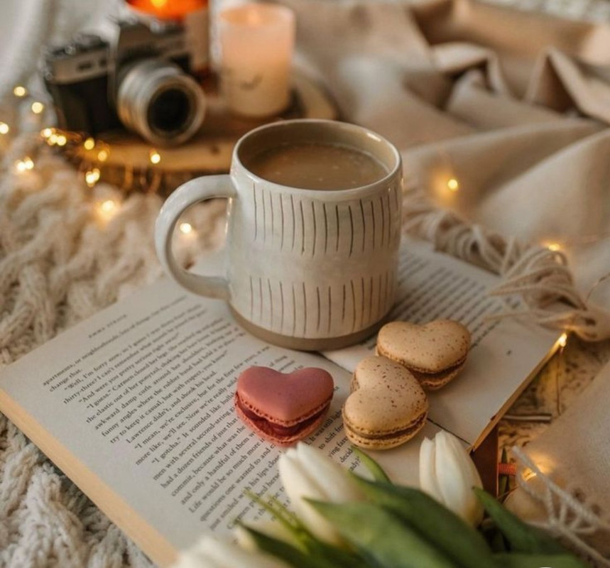 Screenshot_20221213-211024_Chrome