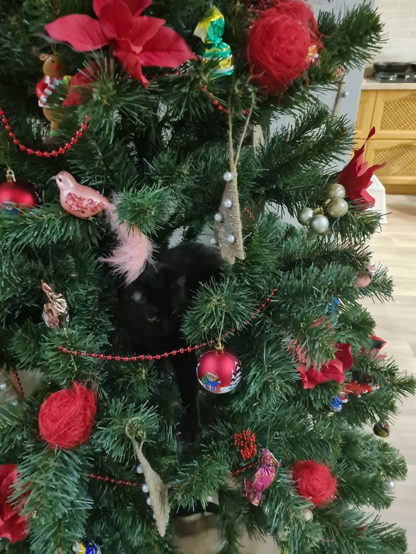 C0B9EA1B-5B1C-4F26-B8D3-B5B752D97C64