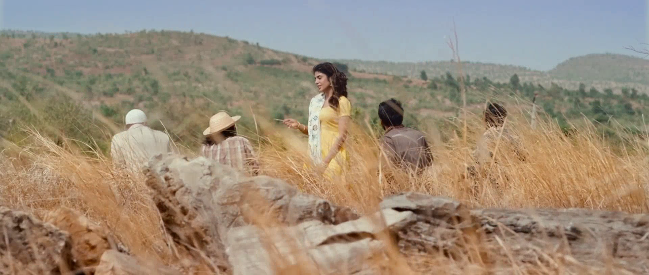 vlcsnap-2025-08-30-17h53m09s860