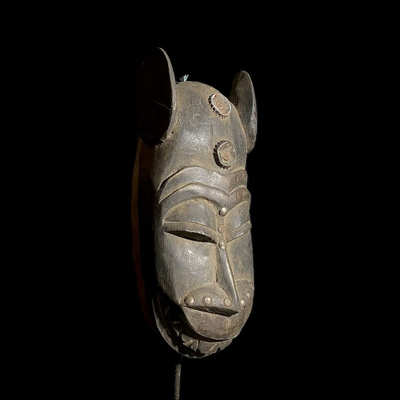 large image 7
