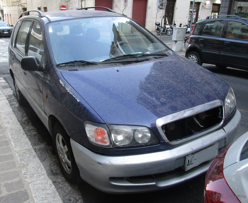 IMG-7443.jpg