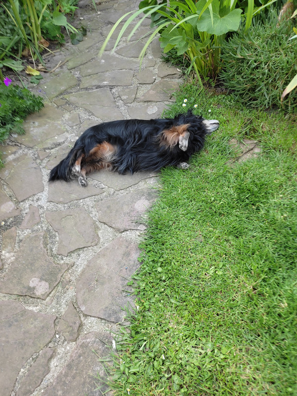 [Image: IMG-20230518-161119.jpg]