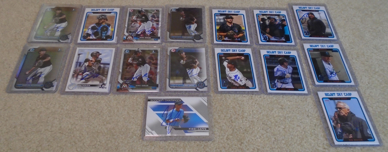 beloitskycarp12aug2023