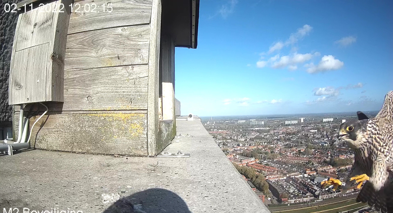 Tilburg/Westpointtoren - Pagina 23 Video-2022-11-02-121937-Moment-4