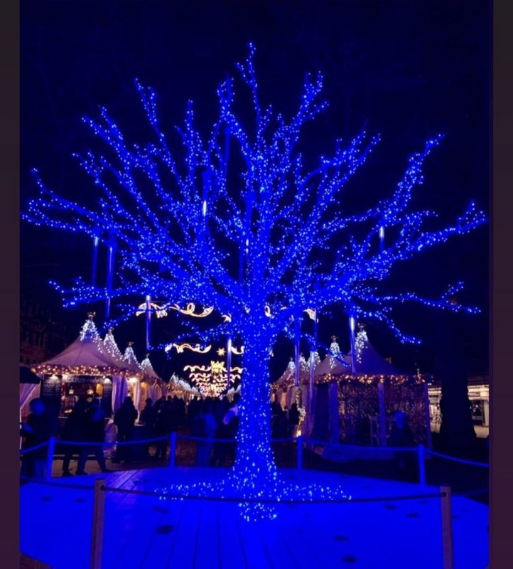 De Berlín a Sajonia: la magia de la Navidad - Blogs de Alemania - Dresde: 7 mercados de navidad en 24 horas (18)