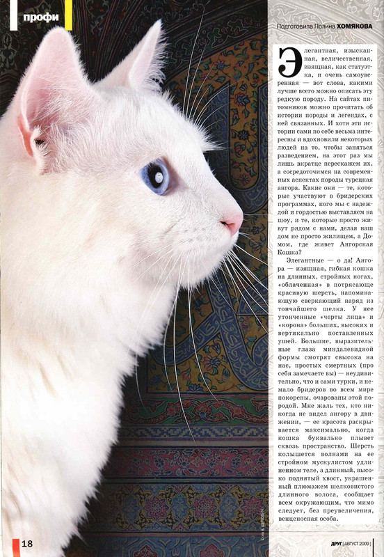 Друг кошек № 8 2009-18