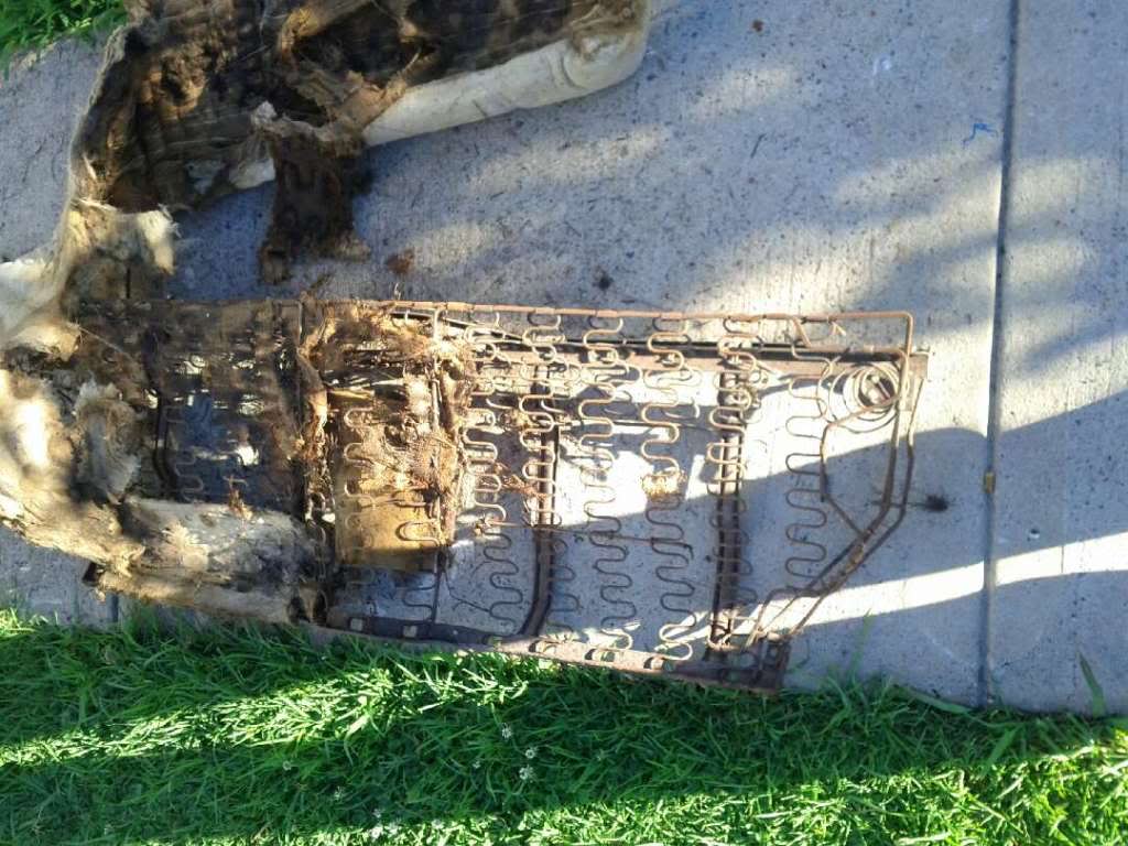 IMG_20131206_071116_zpsdaf00661