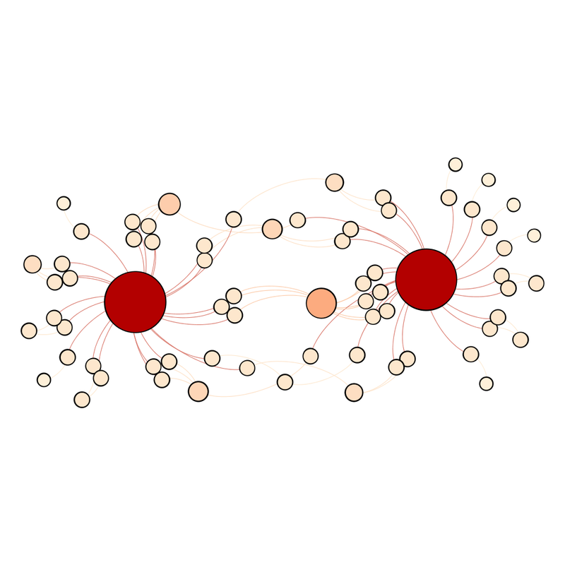 Unlabelled network diagram of the final - two equally sized red dots surrounded by smaller very pale pink dots.  Meaning is described in the text.