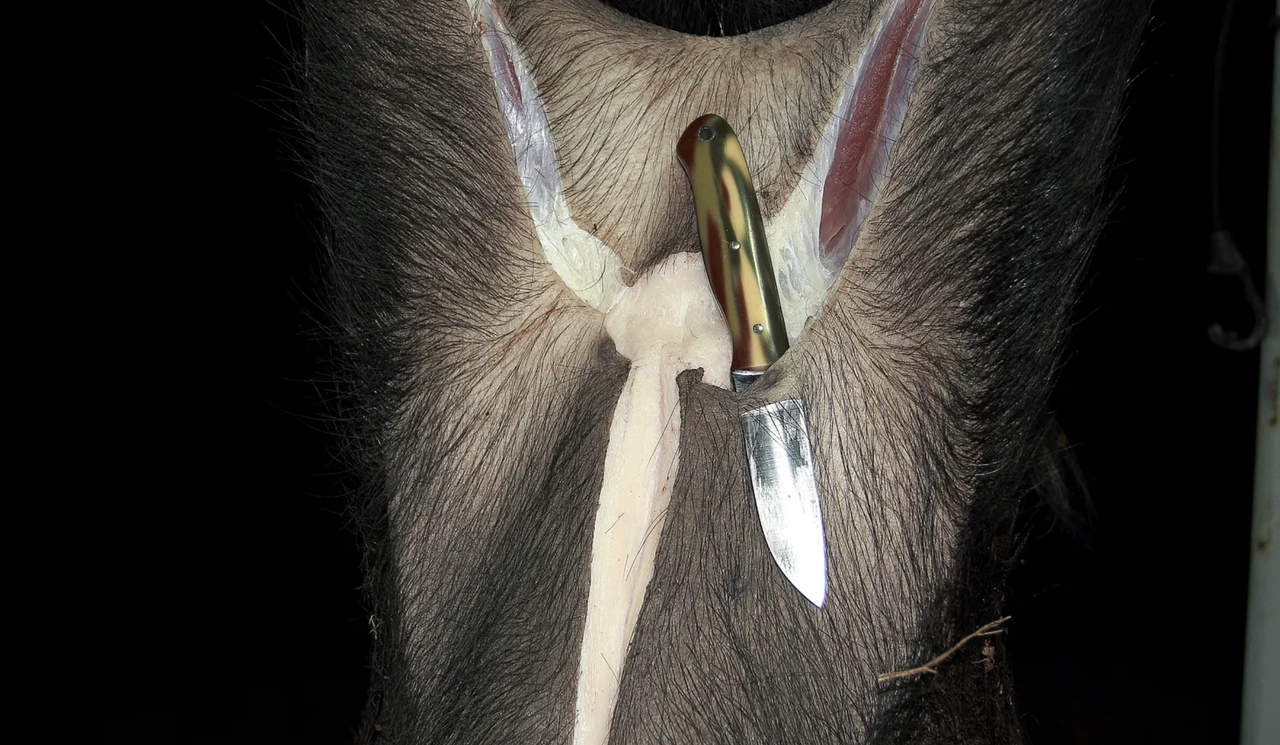 Screen Shot 2026 03 15 at 4 18 17 PM