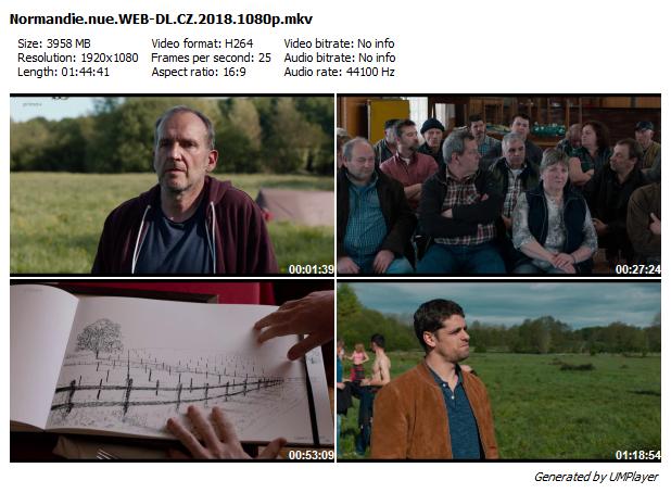 Naháči z Normandie / Normandie nue (2018)