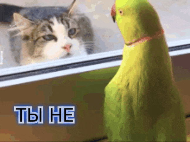 GIF-20250807-122831-341.gif