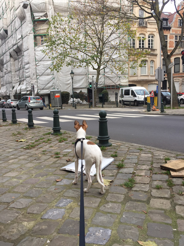 1EE5A3FF-E234-49A6-9548-7537730518DD